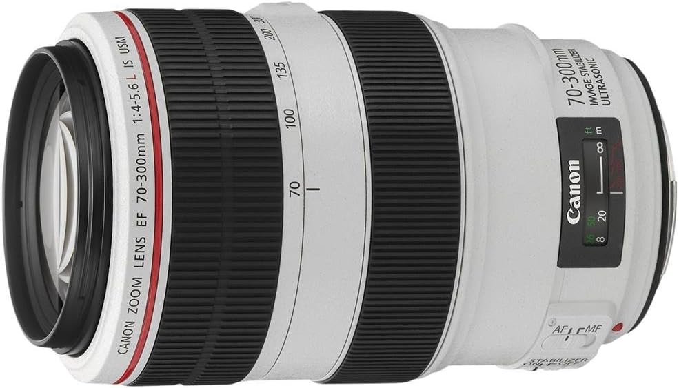 Canon EF 70-300mm f/4-5.6L IS USM Lens