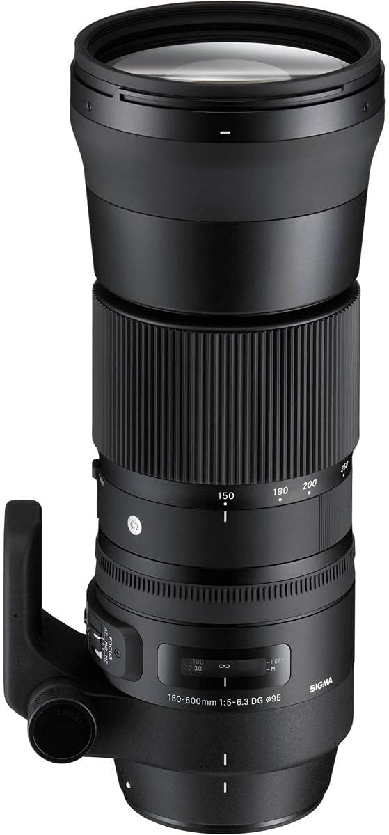 Sigma 150-600mm f/5-6.3 Contemporary DG OS HSM Lens